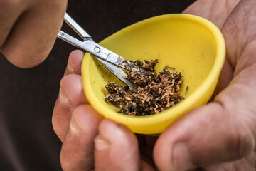hands holding a bowl of hashish
