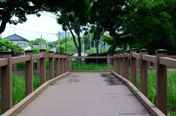 Fototapeta na wymiar 公園の池に架かる橋