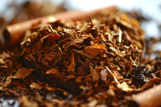 Tobacco close-up. Backdrop with selective focus and copy space
