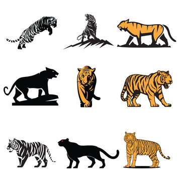 set of tiger vector element design, africa, african, america, animal, asia, black, cat, drawing, illustration, design, graphic, lion, mammal, nature, panther, predator, print, safari, set, sketch