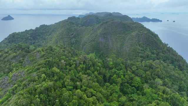Rugged, limestone islands rise from the impressive seascape in Misool, Raja Ampat, Indonesia. These scenic islands' coral reefs, and the surrounding seas, support extraordinary marine biodiversity.