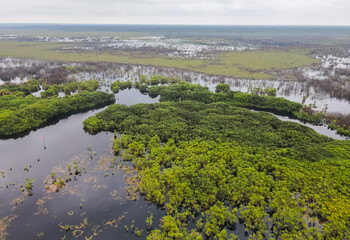 Fototapeta na wymiar Aerial view of the Sebangau national park area in Palangkaraya, Central Kalimantan, Indonesia. Sebangau is a protected peat swamp area.