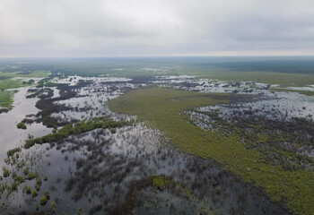 Aerial view of the Sebangau national park area in Palangkaraya, Central Kalimantan, Indonesia....