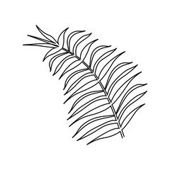 Palm leaf single continuous line drawing. Nature art concept