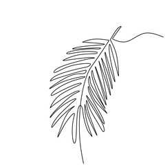 Palm leaf continuous one line drawing