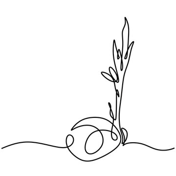 Young coconut tree continuous line drawing. Coconut buds plant