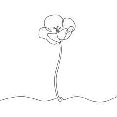 Poppy flower one continuous line drawing
