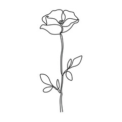 Poppy flower in one continuous line art drawing. Abstract plant botanical garden