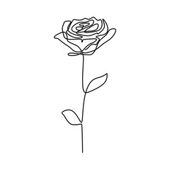 Rose one continuous line drawing. Botanical plant concept