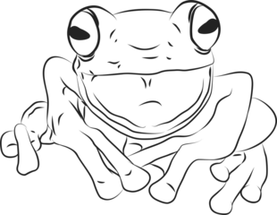 frog cartoon illustration