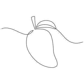 recommend clip art: Mango continuous one line drawing. Food fruit concept with organic outline