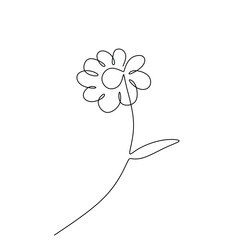 Daisy flower continuous one line drawing