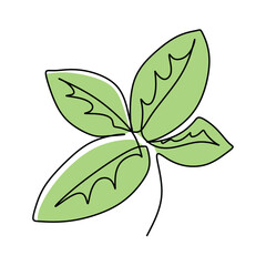 Continuous Line Art Illustration. Mint or Spearmint for organic Label