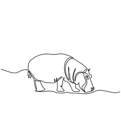 hipopotamus Continuous single line art drawing. Hippo animal wildlife