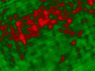 red rose petals background