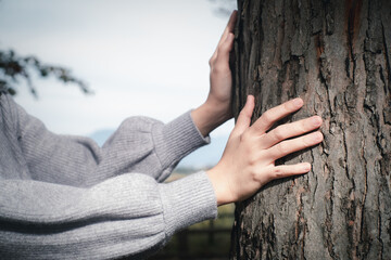 close-up woman hand touch the tree trunk. Bark wood.Caring for the environment. The ecology the...