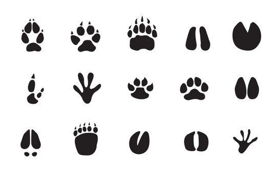 Animal footprint flat vector illustration