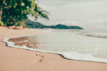 beach and sea