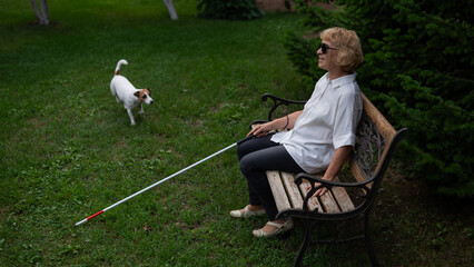 An elderly blind woman sits on a bench in the park. Old woman on a walk with a dog jack russell terrier.