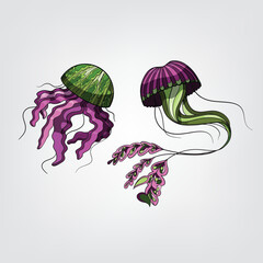 Vector illustration of isolated cartoon jellyfish