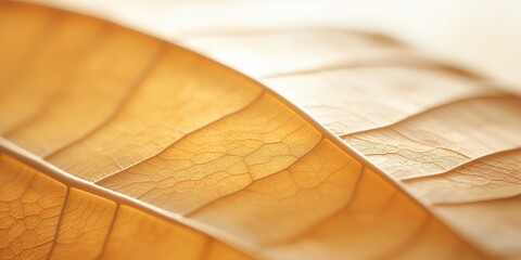 A close up of the surface of a leaf, in the style of light orange and light bronze, undefined anatomy,