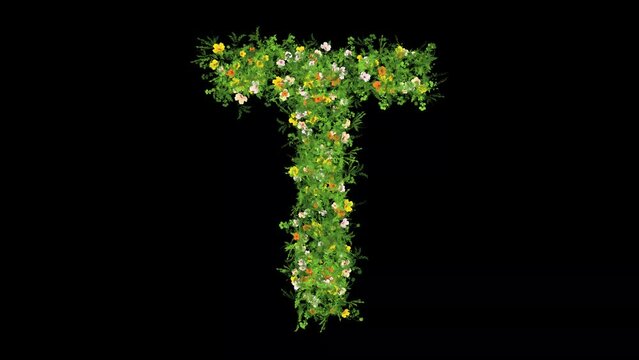 English alphabet T with grass and colorful flowers on plain black background