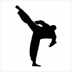 Martial arts silhouette