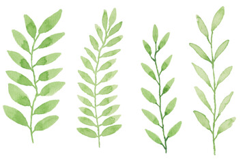 Assortment of watercolor leaves illustration set - green leaf branches collection for wedding, greetings, stationary, wallpapers, fashion, background. olive, green leaves, Eucalyptus etc