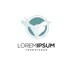 Bird Mascot Logo Design