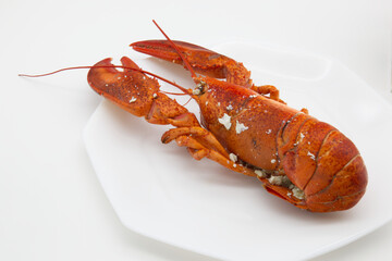 白い皿に乗った1匹の茹でて赤くなったロブスター