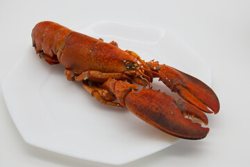 白い皿に乗った1匹の茹でて赤くなったロブスター