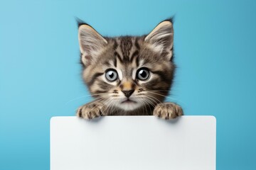 Charming Kitten Over White Edge, Generative AI
