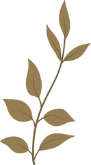 Leaf art, leaves, leaf, gardening, flower decoration, leaves decoration, exotic,palm leaves,tropical tree,tropical plants, plants,nature,botanical,plant leaves,gardening,abstract leaves, floral, hand 