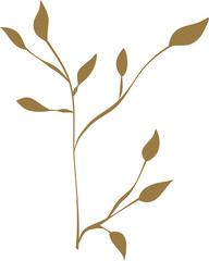 Leaf art, leaves, leaf, gardening, flower decoration, leaves decoration, exotic,palm leaves,tropical tree,tropical plants, plants,nature,botanical,plant leaves,gardening,abstract leaves, floral, hand 