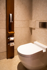 Modern lavatory with water closet, tissue paper and telephone on a wooden wall for service or...