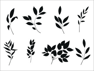 Fototapeta na wymiar Set of silhouettes of branches and leaves. Hand drawn vector botanical elements