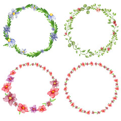 set of four floral watercolor wreaths. bright, light, summer, wildflowers. isolated on a white background. for the design of postcards, promotional products, invitations