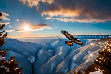 Foto op Canvas Red-tailed Hawk flying over the blue mountains with sunset sky © Stone Shoaib