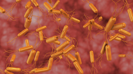 Helicobacter pylori bacteria affect stomach