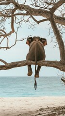An elephant sitting on a leafless branch