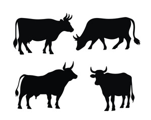 Cow silhouette. Cow vector illustration. Black cow and domestic milk cows. Farm animals isolated vector icons set.