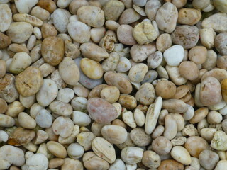 Cream-colored light brown pebbles