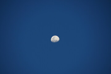 The moon is almost full. The sky was empty