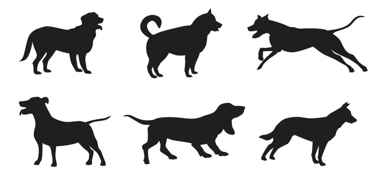Dog breeds silhouettes