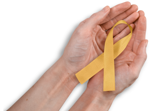 Yellow Ribbon in Woman's Hands, Support Our Troops Concept, Isolated