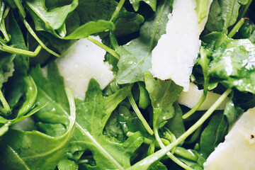Healthy green salad with fresh arugula, parmesan cheese and olive oil