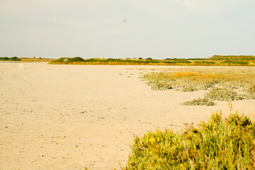 Stagno di Sale de Porcus. Sinis, Provincia di Oristano, Sardegna, Italy