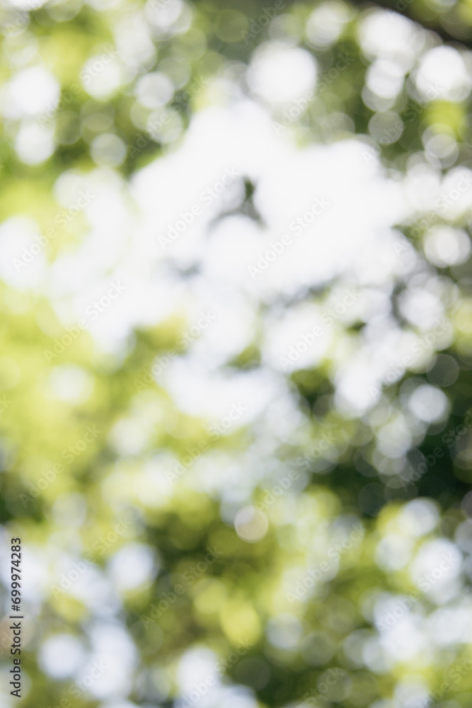 Poster green bokeh background from nature under tree shade,abstract blur background