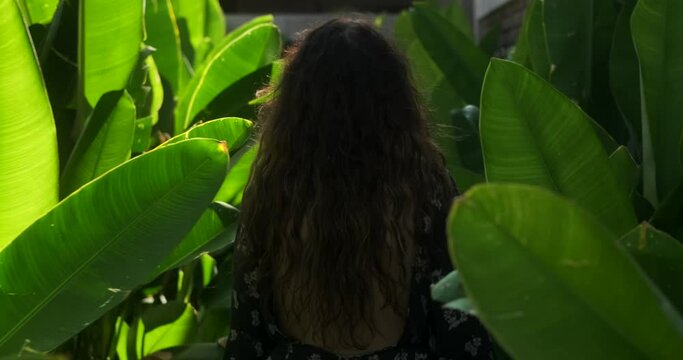 Vacation in a tropical climate, a path dotted with tall banana leaves. A young woman with long hair in a backless dress walks along the path to her hotel room.