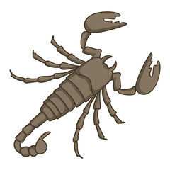 Obraz premium Poisonous insect scorpion on a white background. Flat vector style. Eps10